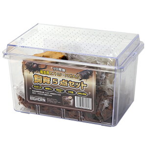 p@JugVENK^V@5_Zbg@֓