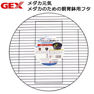 GEX@_JC@_Ĵ߂̎甫pt^@֓