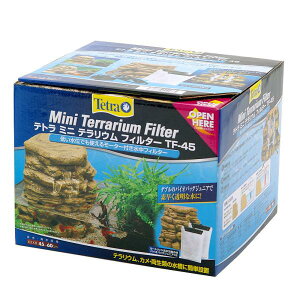 eg@~jeEtB^[@TF|45@֓