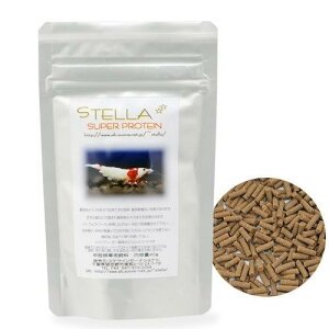 Xe@X[p[veC@40g@Gr@Vv@֓