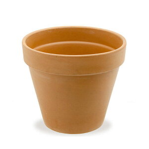 A@f[}@X^_[h|bg@31cm@m@T{e@eRb^@񂹐A@ll5_@֓