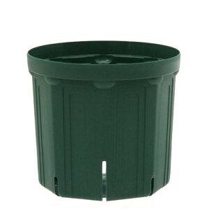 Xbg@JlYƁ@CSM|210@XO[@ll10_@o@ʎ@֓