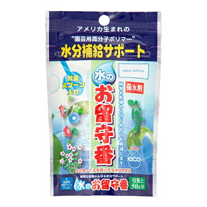 {O[T[rX@̂ԁ@50g@|{y50L@֓