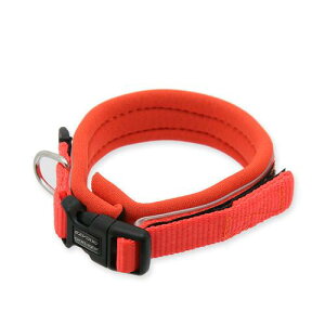 @ց@C[W[hbO@lIJ[@XS@i28`31cmj@IW@^p@֓