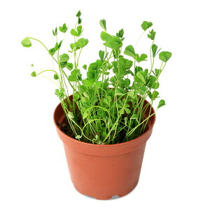 ijA@Ni^@EH[^[N[o[iC{CXjitji_ji1j