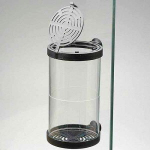 AY[@~jtBbVnEX@6D5×11cm@uP[X@֓