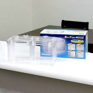 AY[@rbOtBbVnEX@uP[X@30D8×14D5×16D5cm@֓