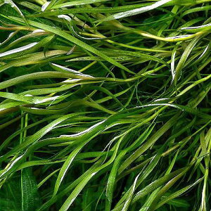 ij]XeA@hDrAitji_ji3{j