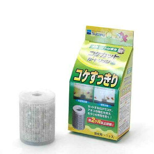 @GCg@Mp@RPJbgJ[gbWM@֓