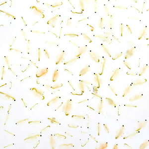 iaj~WR~bNX莔琅i500mlj@a@kCEBq֗vۉ