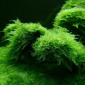 ijăEB[Xitji_ji1Jbvj