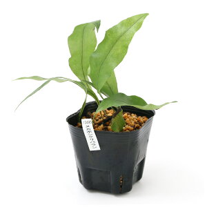 iR쑐jV_irjkJ{VNnifItj@3i1|bgjΐN