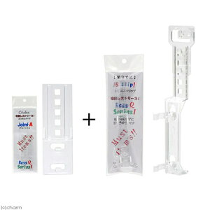 `CX@ISNbv{WCgA@Zbg@zՃXV[Y@֓