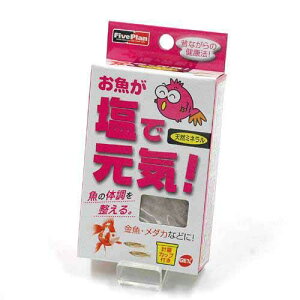 GEX�@���������Ō��C�@100g�@�֓�������