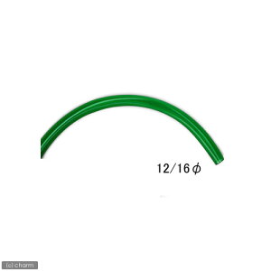 Op[tB^[pz[X@a12^16@10m@֓