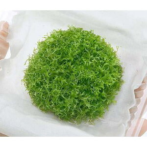 ij[WVAitji_ji1pbNj@kCEBq֗vۉ