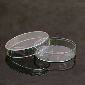 �K���X���@�t���b�g�V���[���@91mm�@�����@�W�{�p�i�@�֓�������