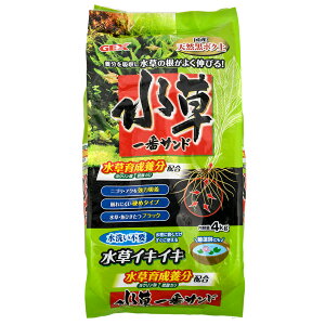 GEX@ԃTh@4kg@\C@ANAE@Mы@ll5_@֓