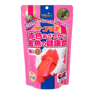 L[@xr[S[h@i㐫j@300g@̂@Fgʁ@GT@a@̉a@ll30_@֓