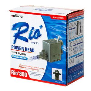 |v@J~n^@Rio{iIvXj@800@50Hz@8bg^i{pj@֓
