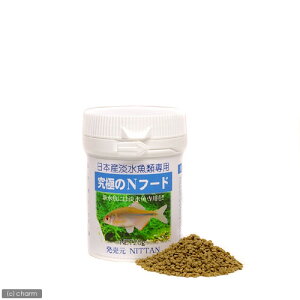 NITTAN@ɂ^iSI@{YWސp@ɂNt[h@20g@Mы@_J@֓