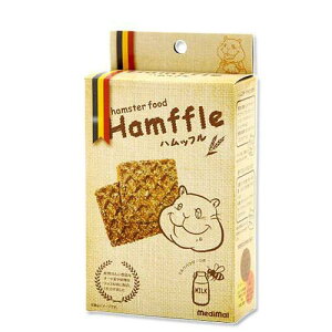 nX^[̂͂@nbt@80gi40g×2Zbgj@nX^[t[h@@GT@a@֓