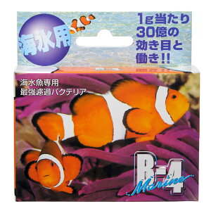 B|4@}@5g@Cp@oNeA@C@Ϗ܋@֓