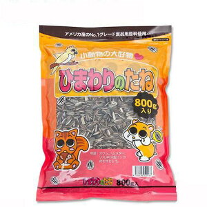 A^@Ђ܂̂ˁ@800g@nX^[t[h@@@a@֓