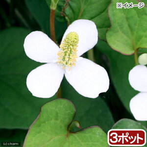 iR쑐jhN_~@3i3|bgjixԁj