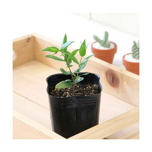 iϗtAjn[uc@}[g@3i1|bgj@ƒ؉