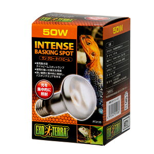 ���p�W���^�@�T���O���[�@�^�C�g�r�[���o�X�L���O�@�X�|�b�g�����v�@50W�i��j2�@঒��ށ@�ۉ����@�֓�������