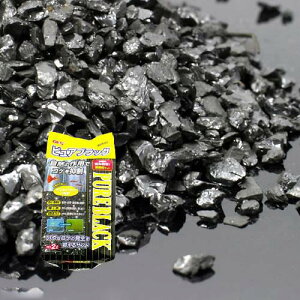 GEX@sAubN@2bg@WFbNX@֓