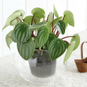 iϗtAjyy~A@TfV[iXCJyyj@3`3D5i1|bgj