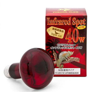 |SiENu@roECtbhX|bg@NEW@40W@঒ށ@ۉ@֓