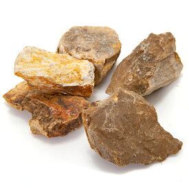 形状お任せ　木化石　SSサイズ（約3〜6cm）　5個入　関東当日便