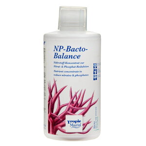 gsbN}@NP|BACTO|BALANCE@NPoNgoX@500mL@CpY܁@֓