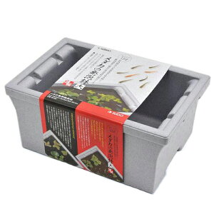 Xh[@_J̔A@@13L@AX`[@߂@O@@ll4_@֓