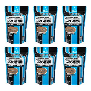 L[@񂿂fBXN@900g×6܁@̂@̉a@ll4_@֓