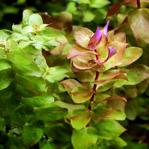 ij^@}Nh@O[itji_ji5{j