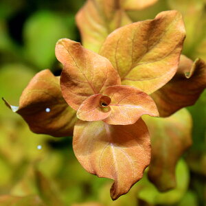 ijhEBWA@IoXi~YLmV^jitji_ji6{j