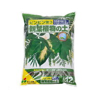 培養土　花ごころ　観葉植物の土　12L　お一人様6点限り　関東当日便