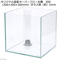 楽天市場】30cm オーバーフロー水槽の通販