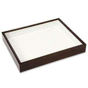 バードウィング製 ドイツ型標本箱 BW70 (幅50.7×奥行き41.8×高さ7cm) 昆虫 蝶 甲虫 標本ケース 関東当日便