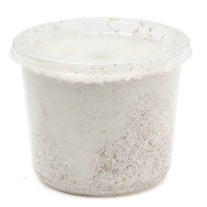 ێJbv@XL|CUP@q^P@430cc@1