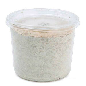 ێJbv@XL|CUP@J^P@430cc@1