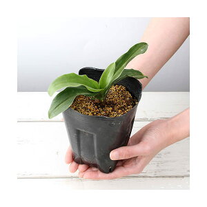 iR쑐jIgiNj@n@3`4i1|bgj