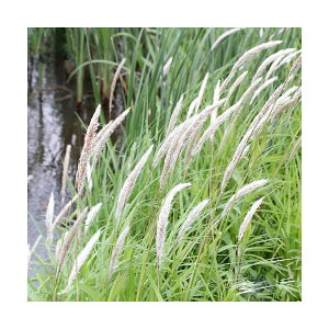 iR쑐j`Kij3i3|bgjixԁj