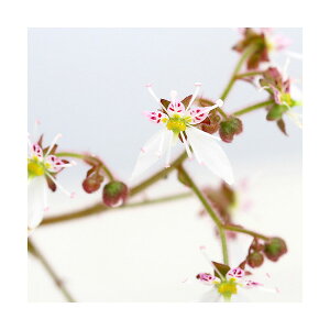 iR쑐jLmV^imj@2D5`3i1|bgjixԁj