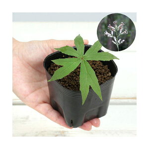 iR쑐jR؁@uKTiVhPj@3i1|bgj@ƒ؉ixԁj