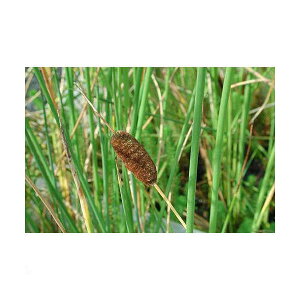 iR쑐jK}i~XOTji1|bgjixԁj